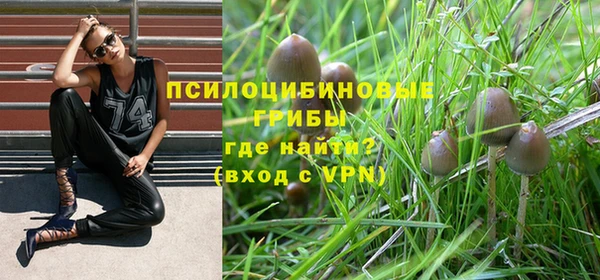 спиды Алзамай