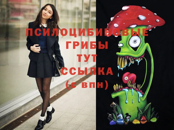 спиды Алзамай