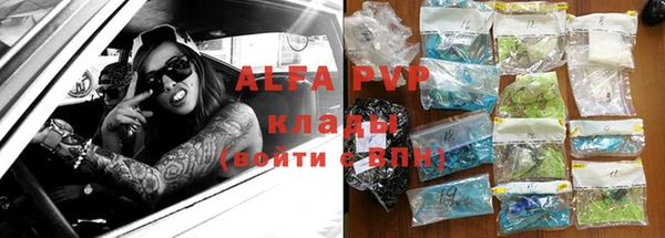 стаф Сатка